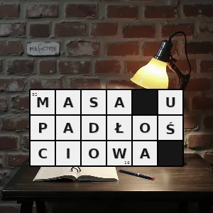 Hasło krzyżówkowe majątek bankrutującej firmy - masa upadłościowa – rozwiązanie, synonimy, podpowiedzi i definicje krzyżówkowe